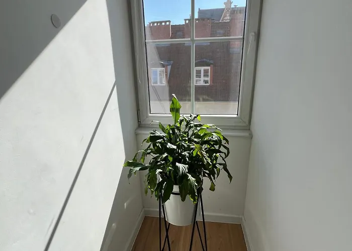 Modern 46m2 Ac 100m From Stary Rynek Center Kramarska 21 Apartmán *