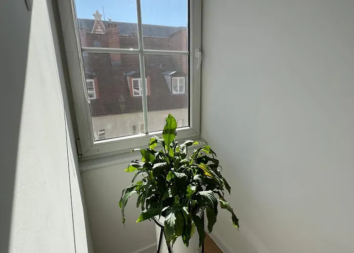 Modern 46m2 Ac 100m From Stary Rynek Center Kramarska 21 * Poznaň