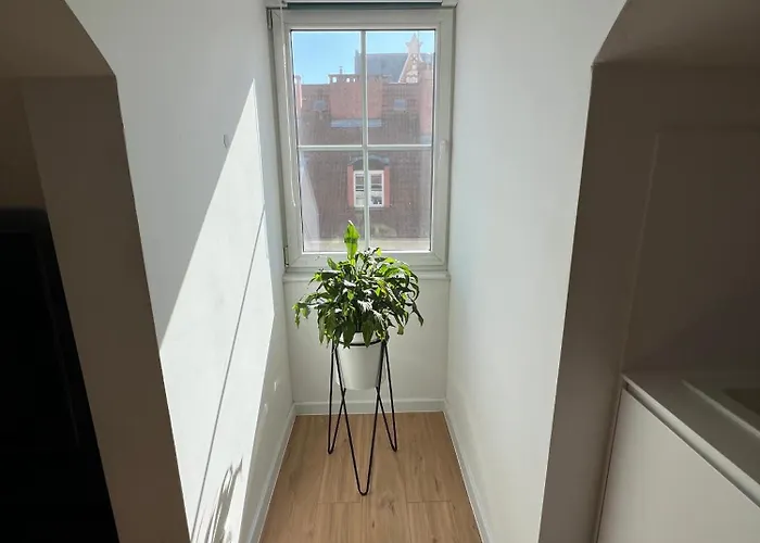 Modern 46m2 Ac 100m From Stary Rynek Center Kramarska 21 Apartmán *