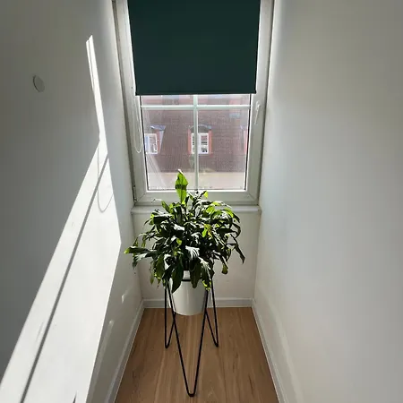 Апартаменти Modern 46m2 Ac 100m From Stary Rynek Center Kramarska 21